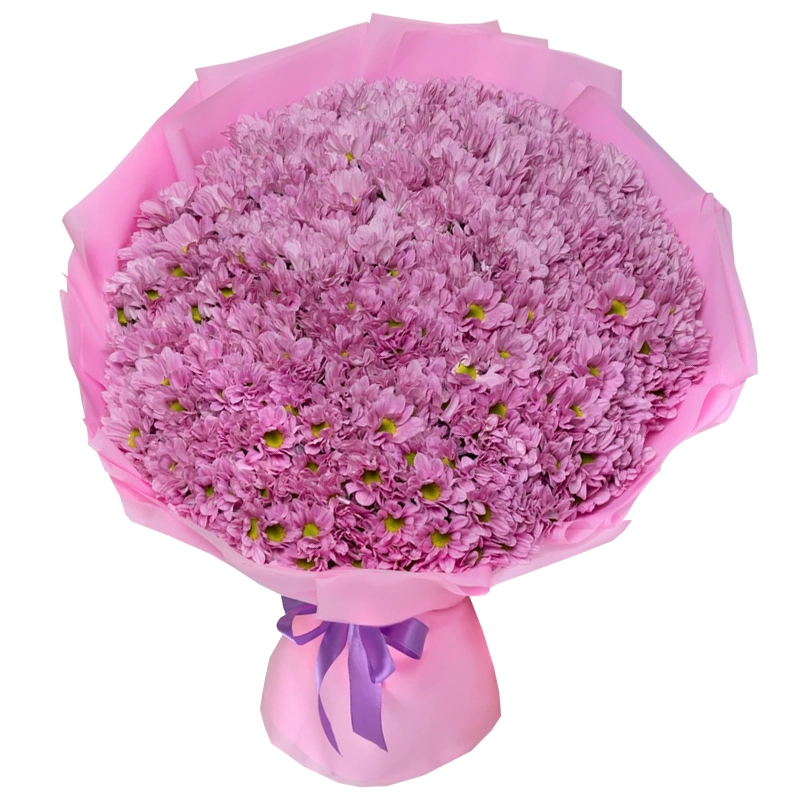 Букет из 45 кустовых розовых хризантем