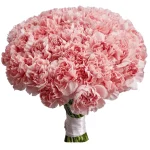 Гвоздики розовые